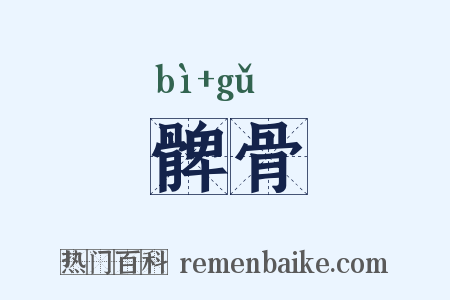 髀骨是什么意思的图片
